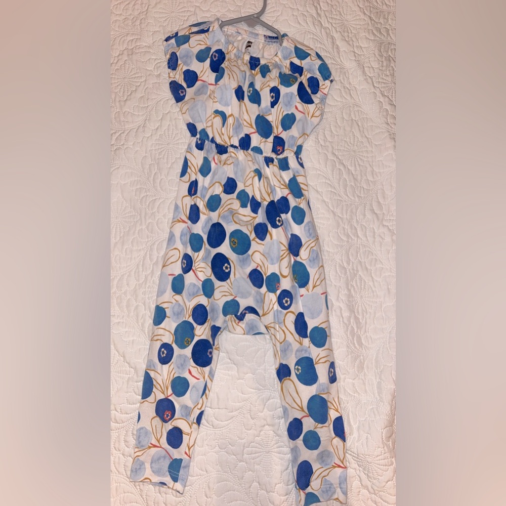 9-12 month blueberry Tea Collection one piece.
